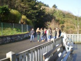 2014-1-31 Mutriku DBH4